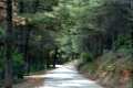 Camino de los Neveros - Carril de San Jerónimo