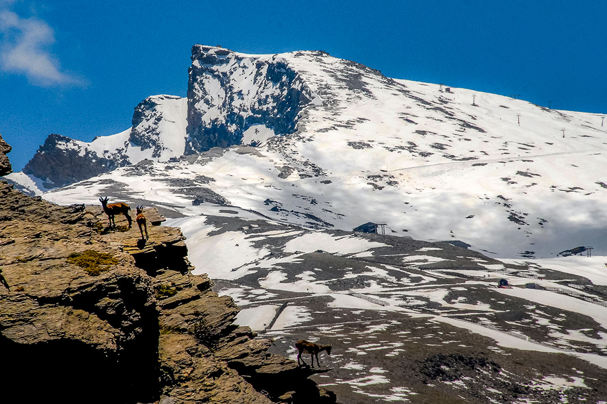 SierraNevadaParqueNacional01