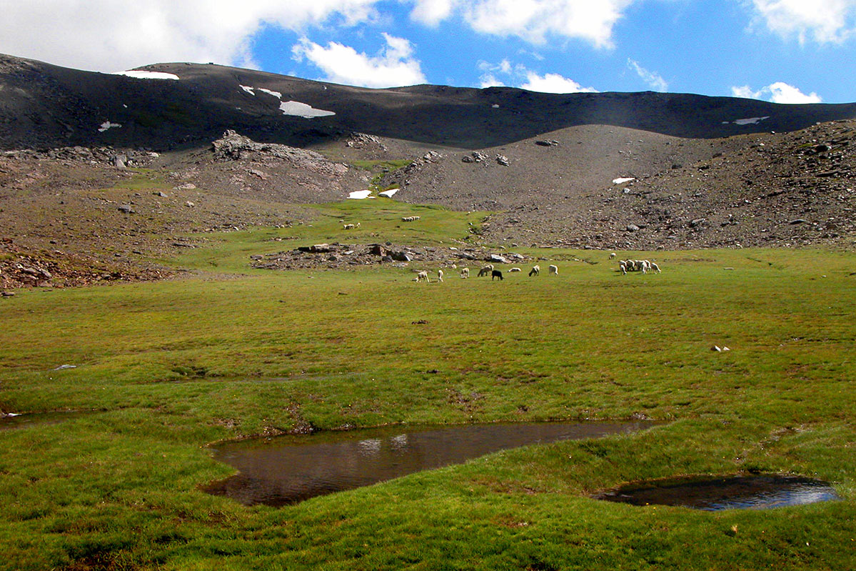 SierraNevadaParqueNacional16