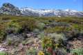sierranevada-piornal-enebral-04