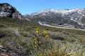 sierranevada-piornal-enebral-06