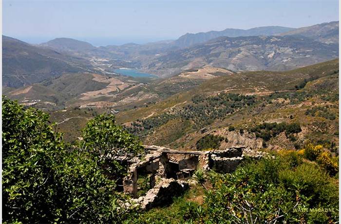 canar62
