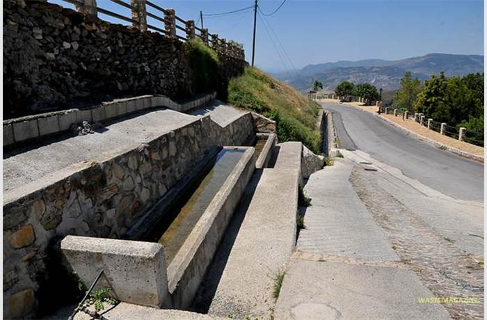 canar-pilar-largo2