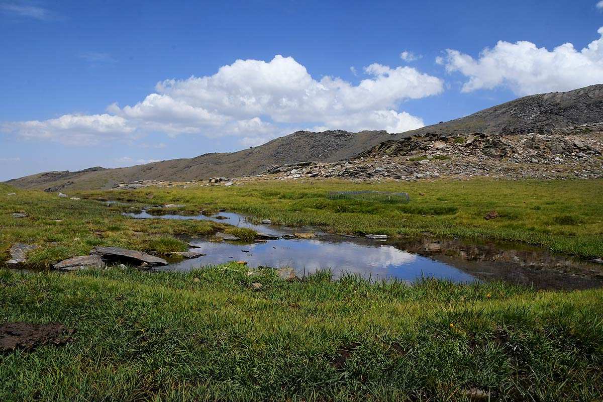 Sierra_Nevada-Borreguil_San_Juan-12