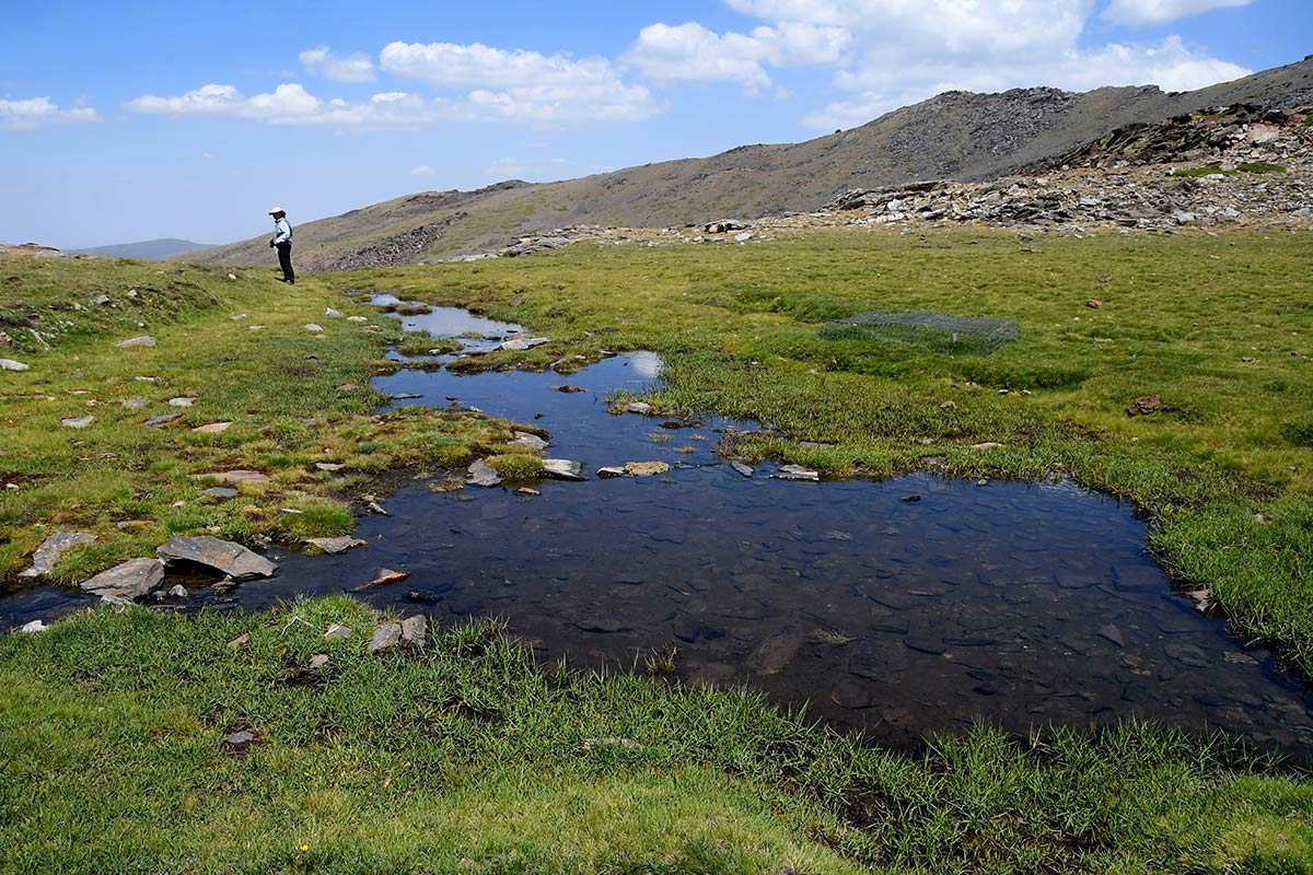 Sierra_Nevada-Borreguil_San_Juan-16