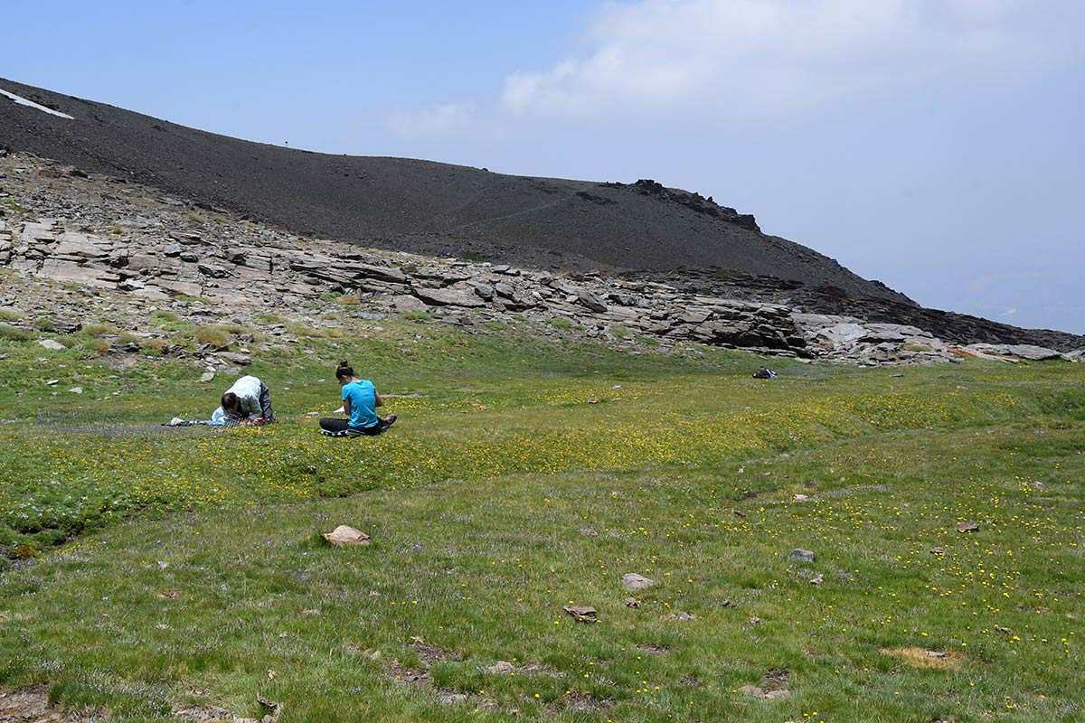 Sierra_Nevada-Borreguil_San_Juan-26