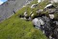Sierra_Nevada-Borreguil_San_Juan-14