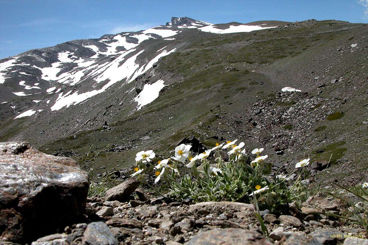 sierranevada19