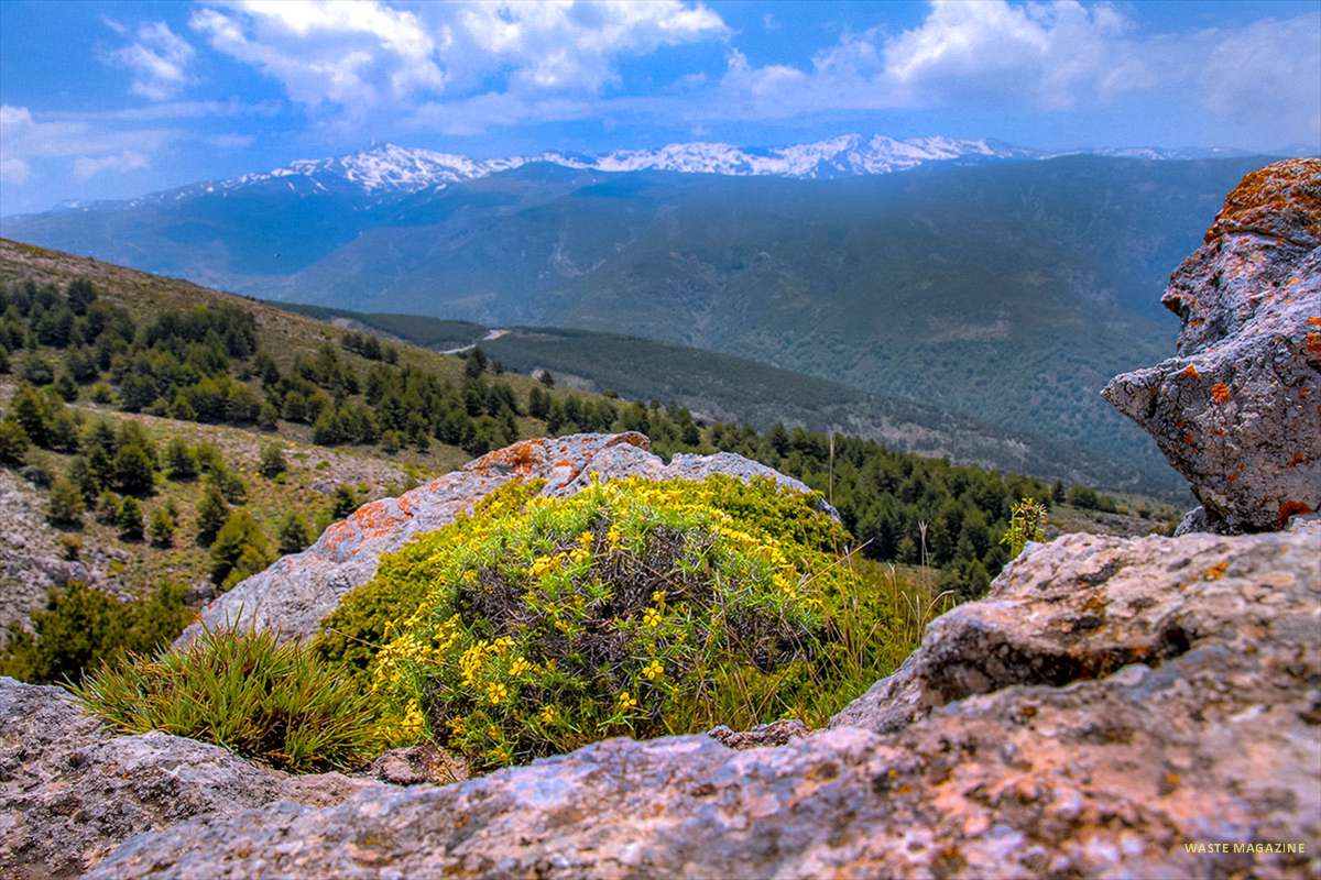 sierranevada36