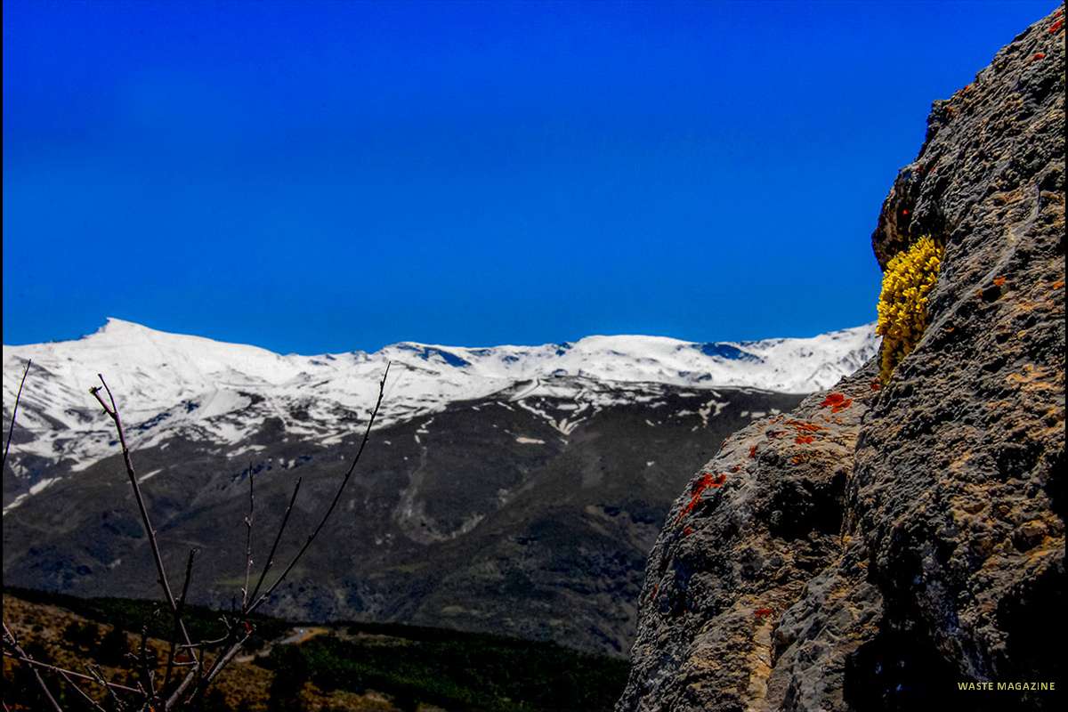 sierranevada41
