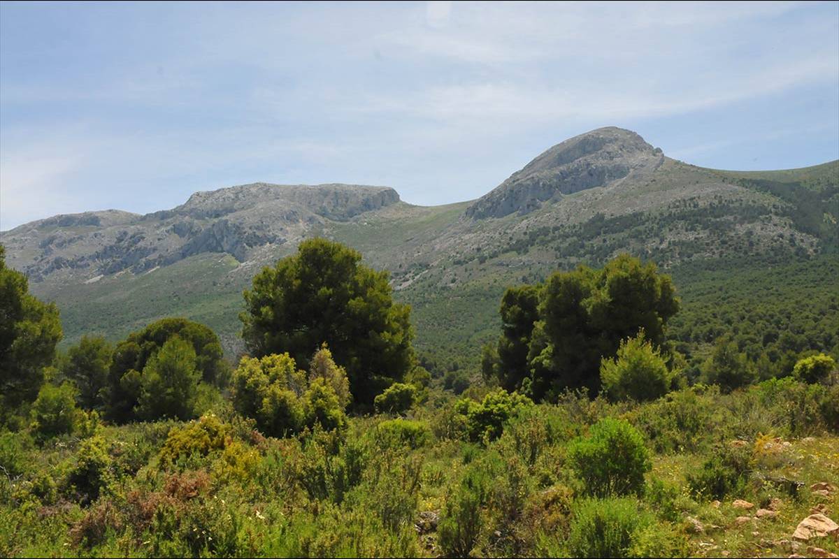 pinares-sotillo-012