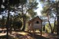 pinares-sotillo-003
