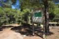 pinares-sotillo-011