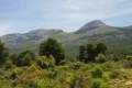 pinares-sotillo-012