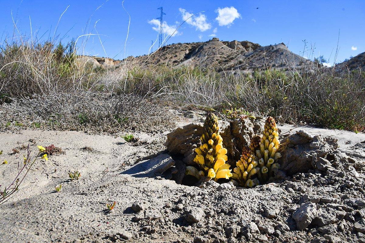 tabernas-2018-002
