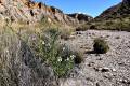 tabernas-2018-004