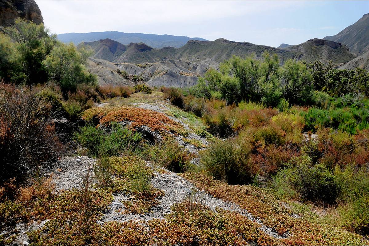 Desierto_de_Tabernas_02