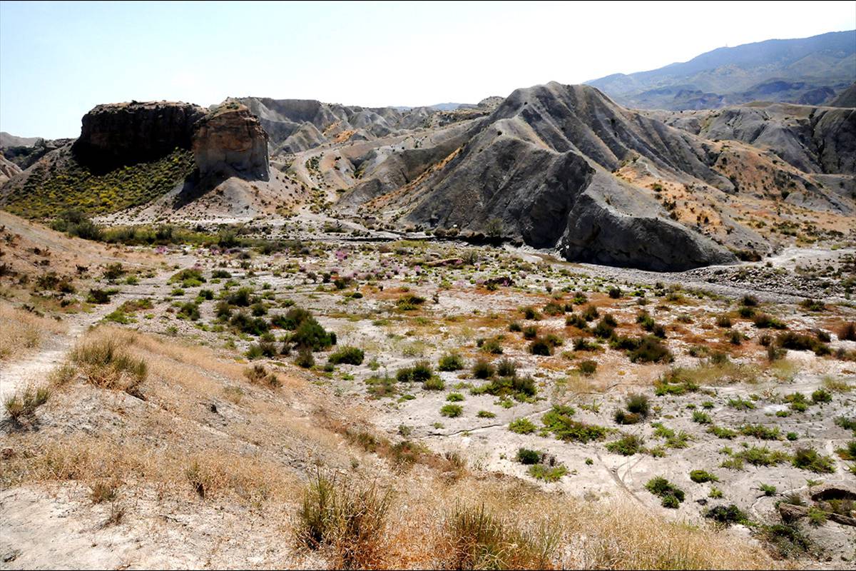 Desierto_de_Tabernas_03