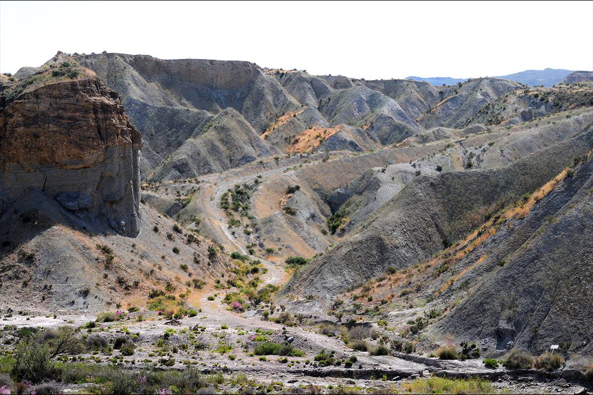 Desierto_de_Tabernas_04
