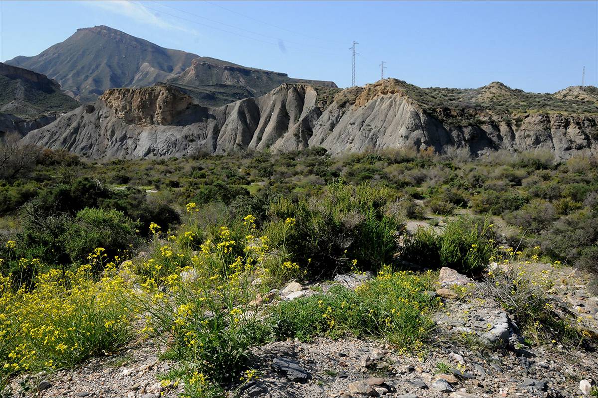 Desierto_de_Tabernas_05