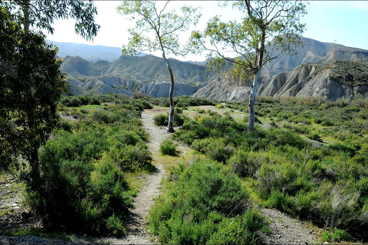 Desierto_de_Tabernas_14