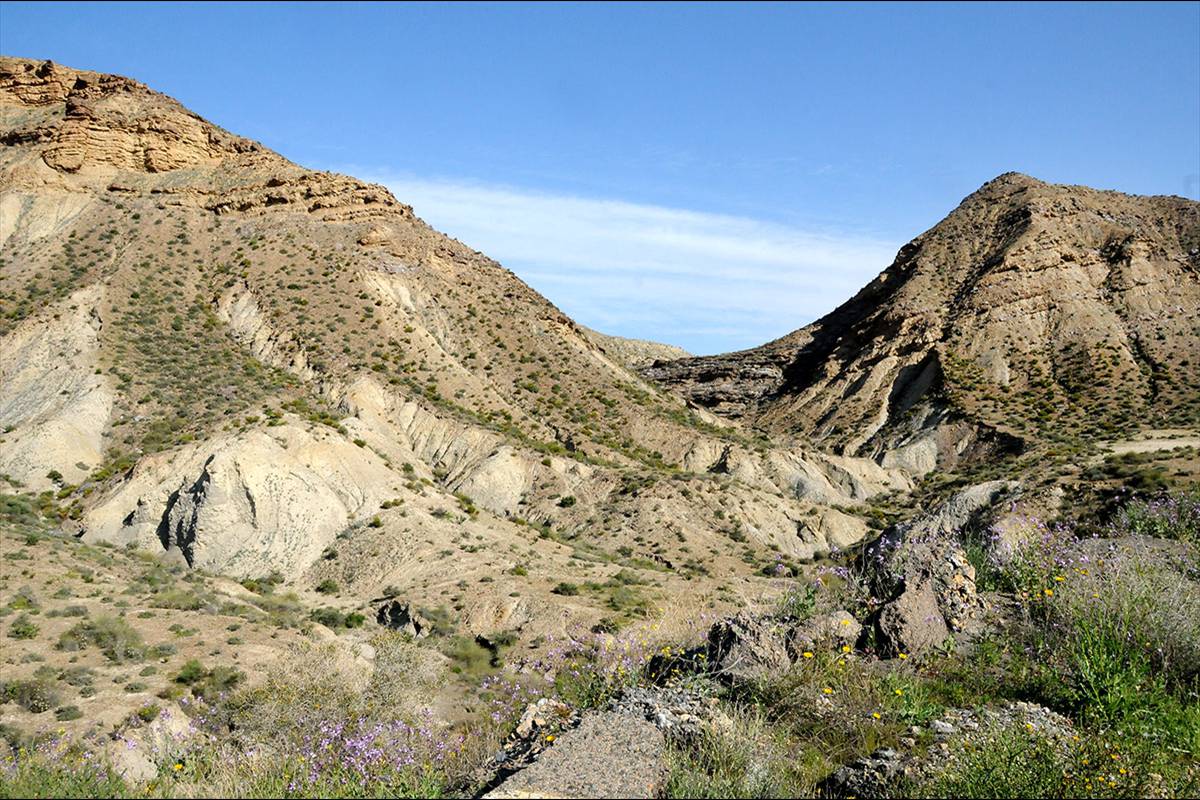 Desierto_de_Tabernas_15