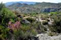 Desierto_de_Tabernas_01