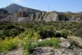 Desierto_de_Tabernas_05