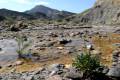 Desierto_de_Tabernas_09