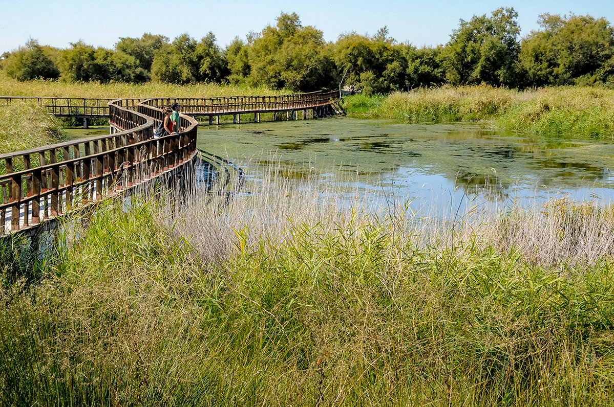 daimiel108