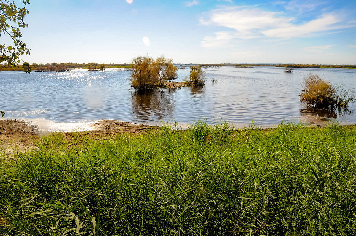 daimiel72