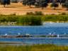 daimiel3
