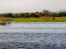daimiel44