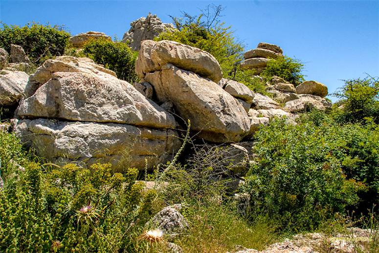 torcal50