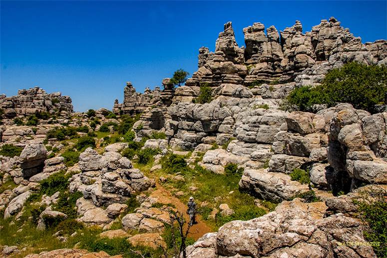 torcal61