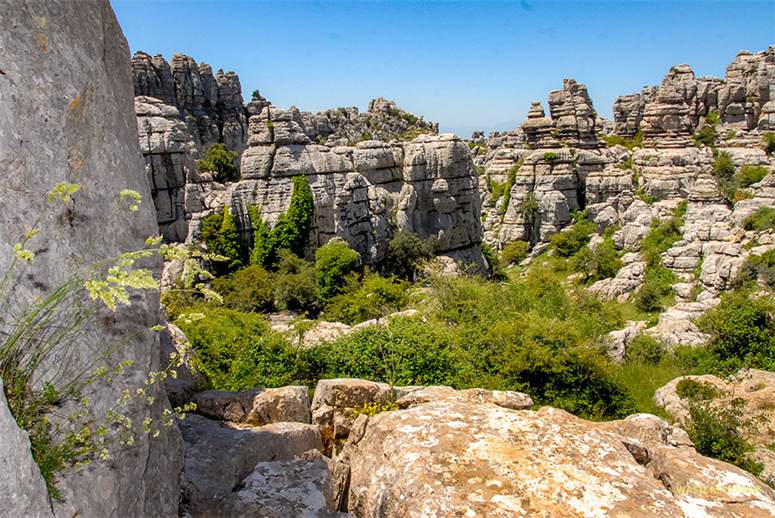 torcal63