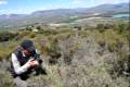 Torreon-albolote-sierra-elvira-06