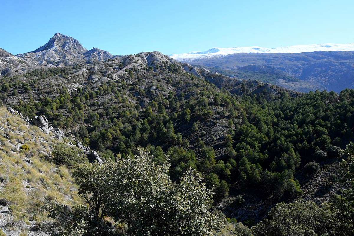 Trevenque-Hervidero-mirador-003