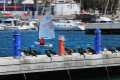 cormoranes-puerto74