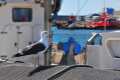 puerto-motril65